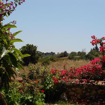 Skala  Livadaki Village Hotel المظهر الخارجي الصورة