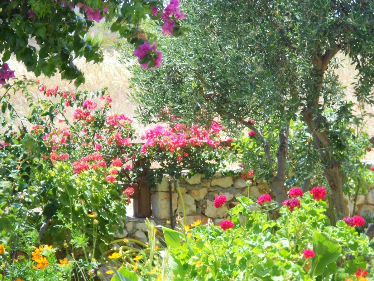 Skala  Livadaki Village Hotel المظهر الخارجي الصورة